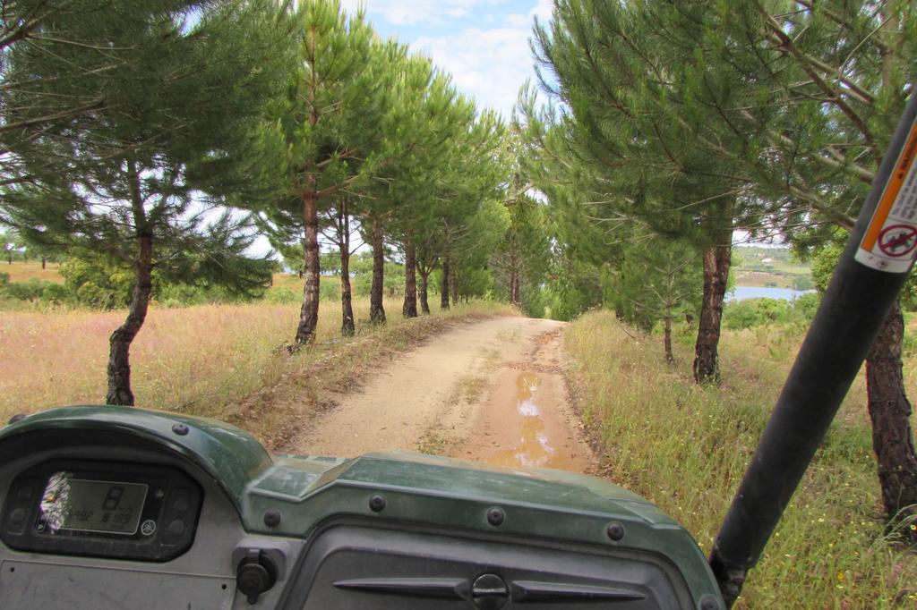 Monte Da Tojeirinha Pension Montargil Buitenkant foto
