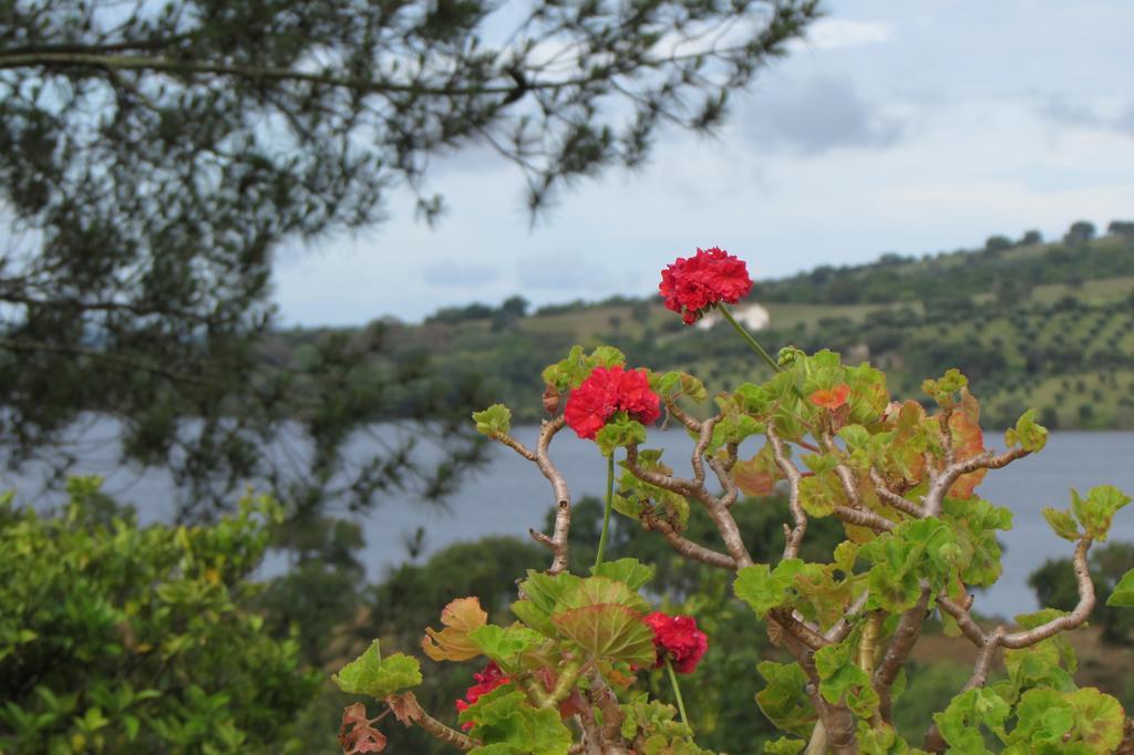 Monte Da Tojeirinha Pension Montargil Buitenkant foto