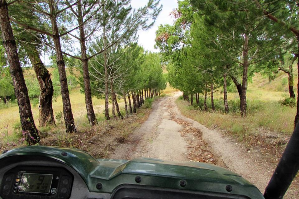 Monte Da Tojeirinha Pension Montargil Buitenkant foto